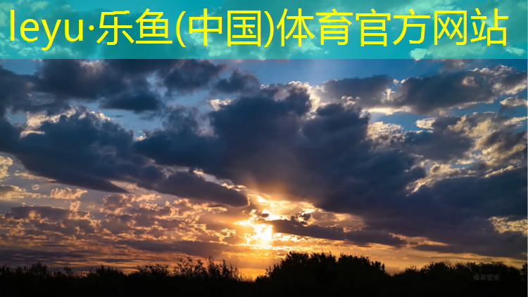 leyu·乐鱼(中国)体育官方网站,运动型塑胶跑道施工工艺