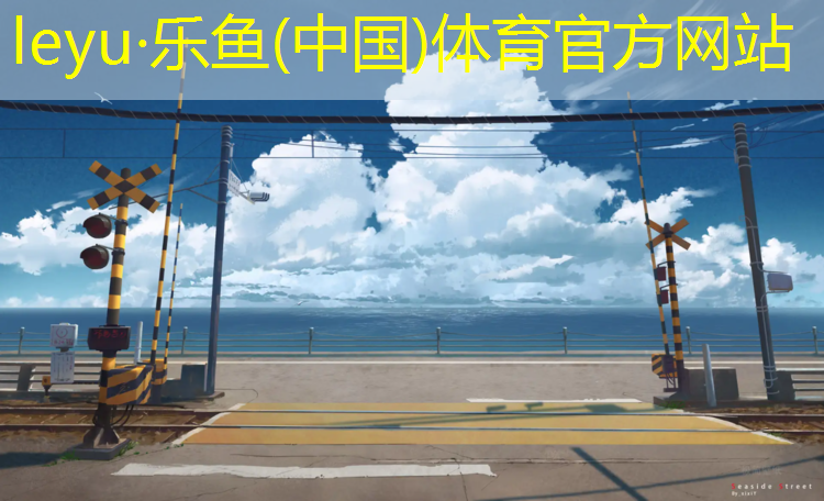 乐鱼体育,平顶山塑胶跑道价格