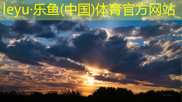 珠海球场塑胶跑道价格多少_